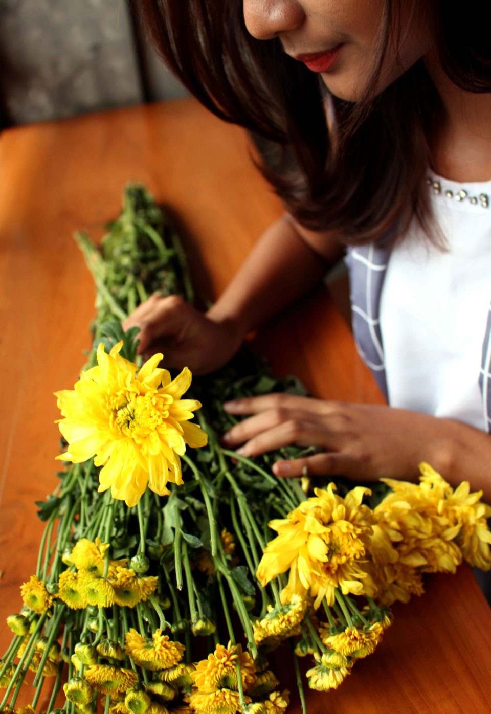 Chrysanthemum (Chrysanthemum.sp) - Benny Sanjaya
